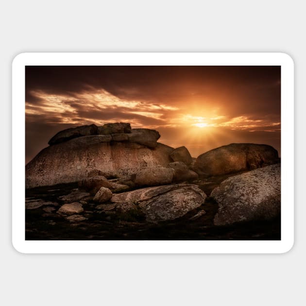 Dog Rocks Sunset Sticker by iansmissenphoto